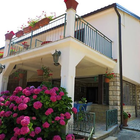 Villa Matohanca Rovinj Exterior photo